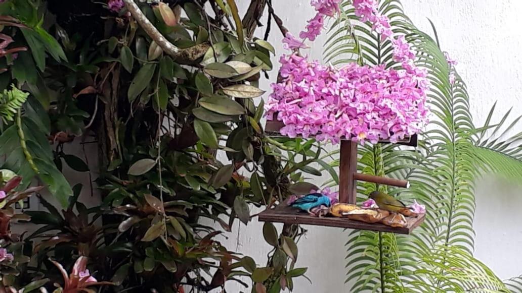 Suites Beija-Flor Parati Extérieur photo